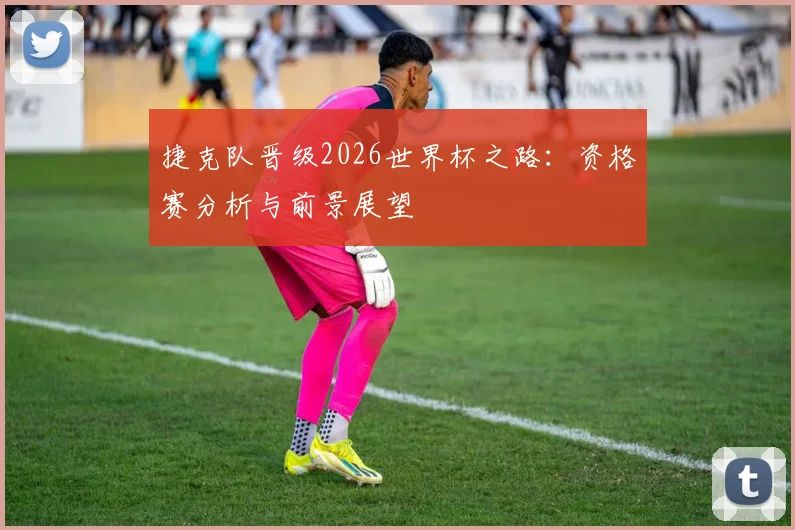捷克队晋级2026世界杯之路：资格赛分析与前景展望