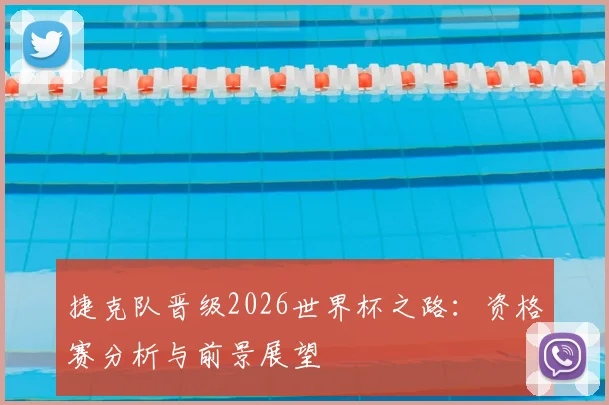 捷克队晋级2026世界杯之路:资格赛分析与前景展望